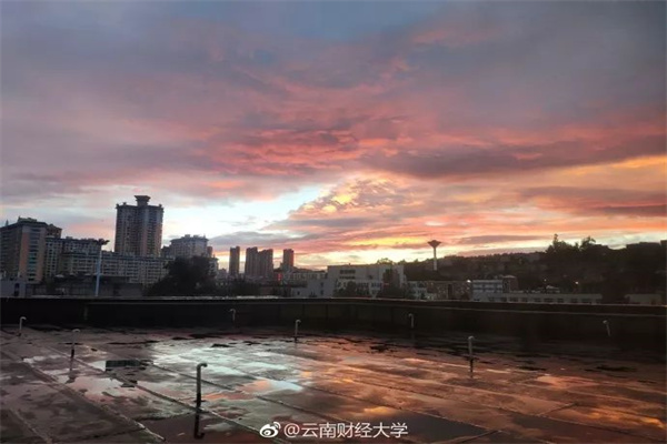 鸭子得了黄病毒会拉草绿色稀便、双腿瘫痪吗？吃什么好得快？_症状_养殖_鸭群
